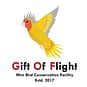 Gift-of-flight-about